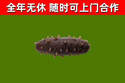 垣曲烟酒回收干海参.jpg